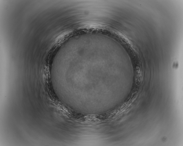 X0000099570918200805161513