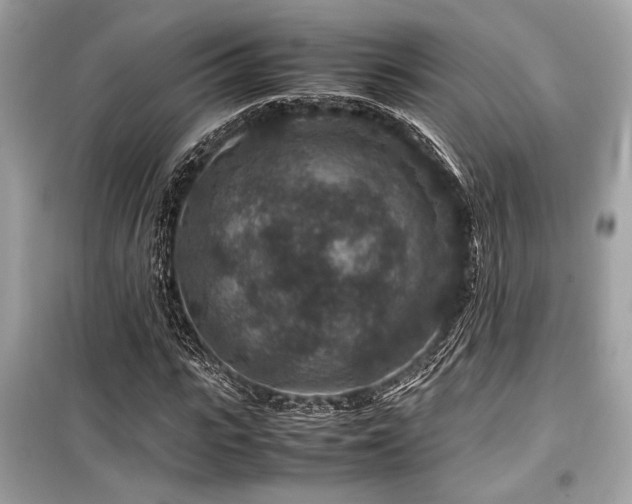 X0000099570919200805161513