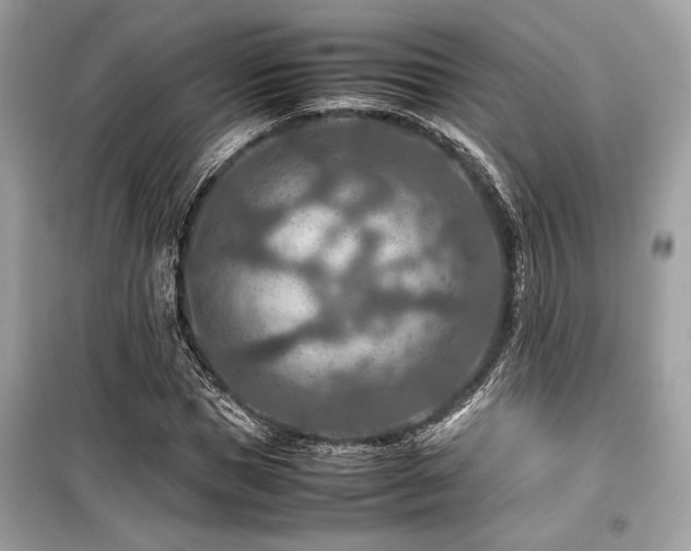 X0000099570921200805161513