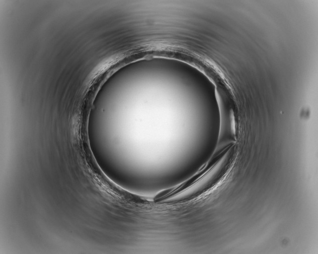 X0000099570922200805161513