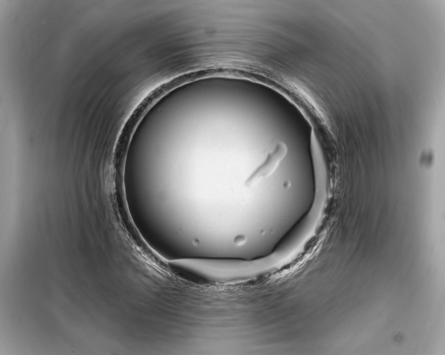 X0000099570924200805161513