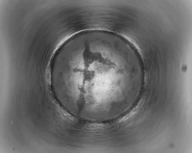 X0000099570925200805161513