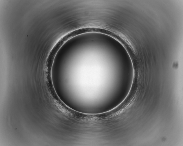 X0000099570926200805161513