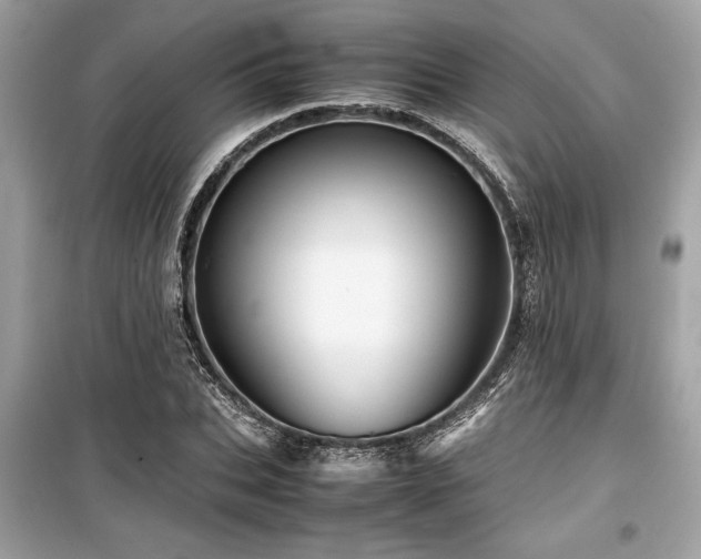 X0000099570927200805161513