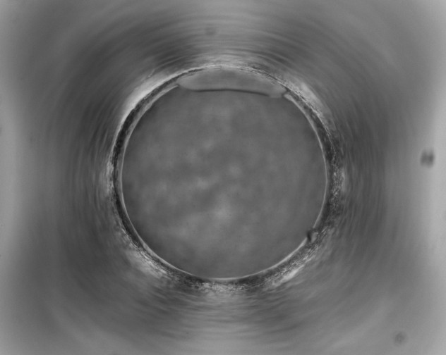 X0000099570928200805161513