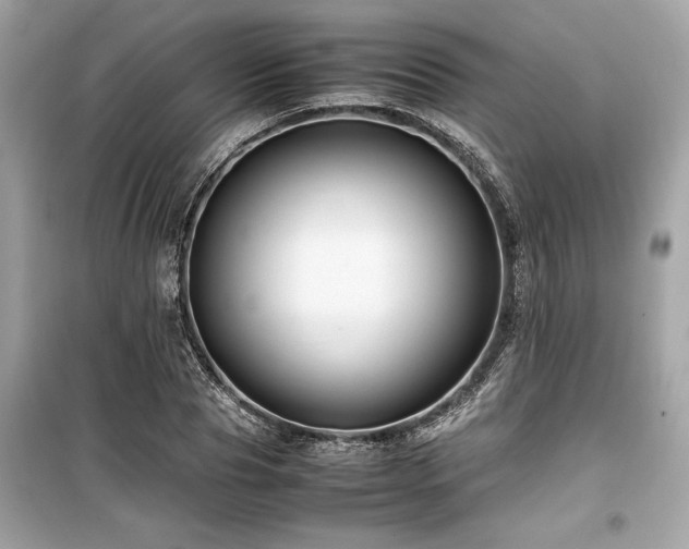 X0000099570929200805161513