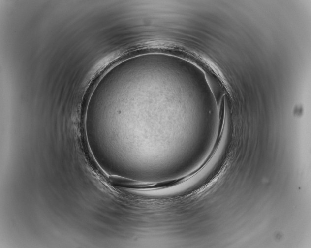 X0000099570930200805161513