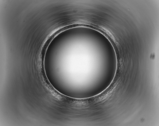 X0000099570931200805161513