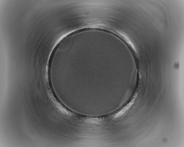 X0000099570932200805161513