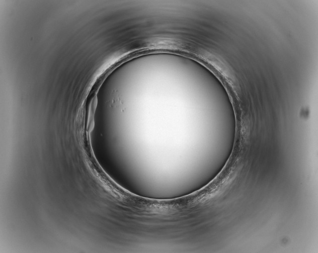 X0000099570933200805161513