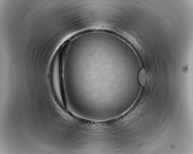 X0000099570934200805161513