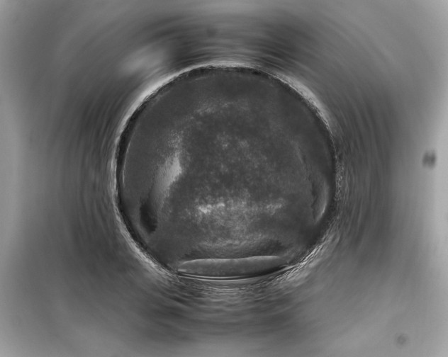 X0000099570935200805161513