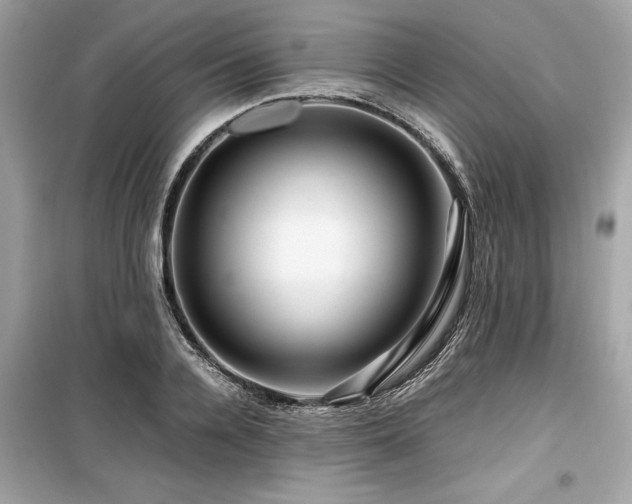 X0000099570936200805161513