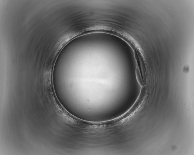 X0000099570937200805161513