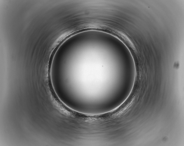 X0000099570938200805161513