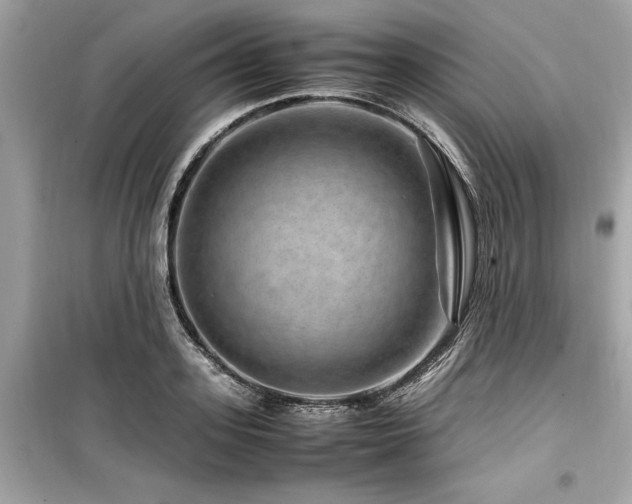 X0000099570939200805161513