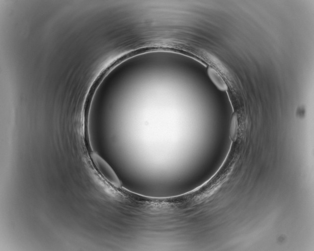 X0000099570940200805161513