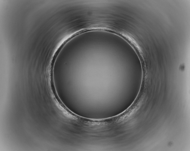 X0000099570941200805161513