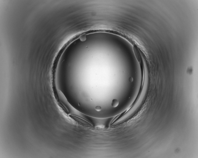 X0000099570942200805161513