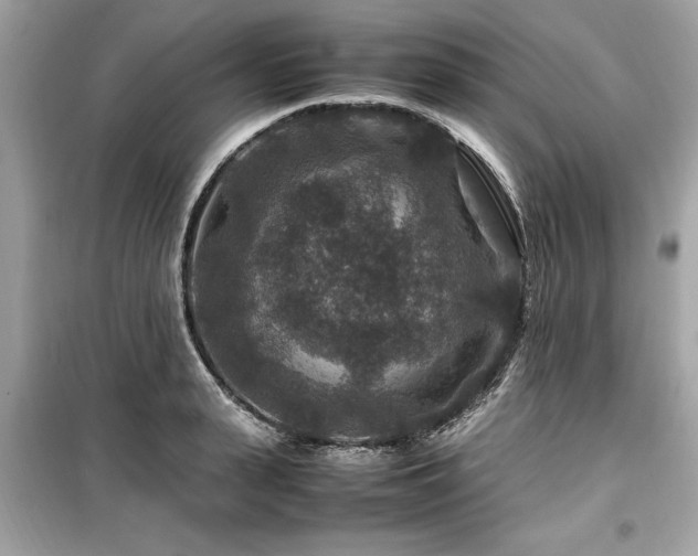 X0000099570943200805161513