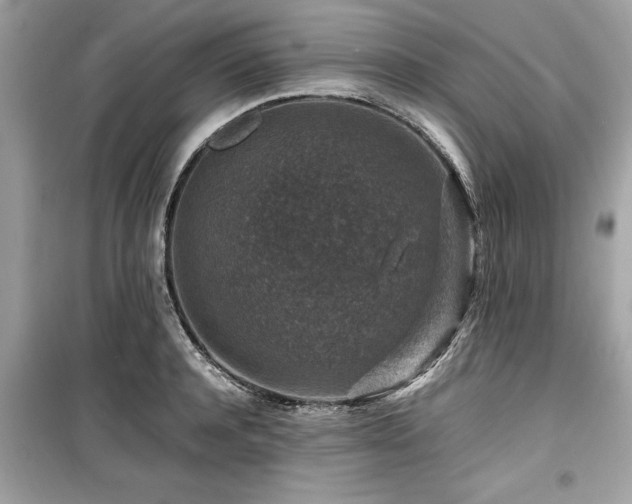 X0000099570944200805161513