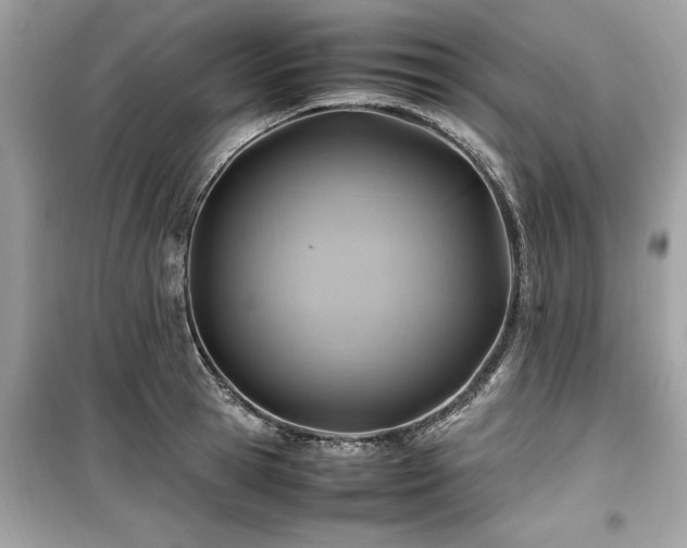 X0000099570945200805161513