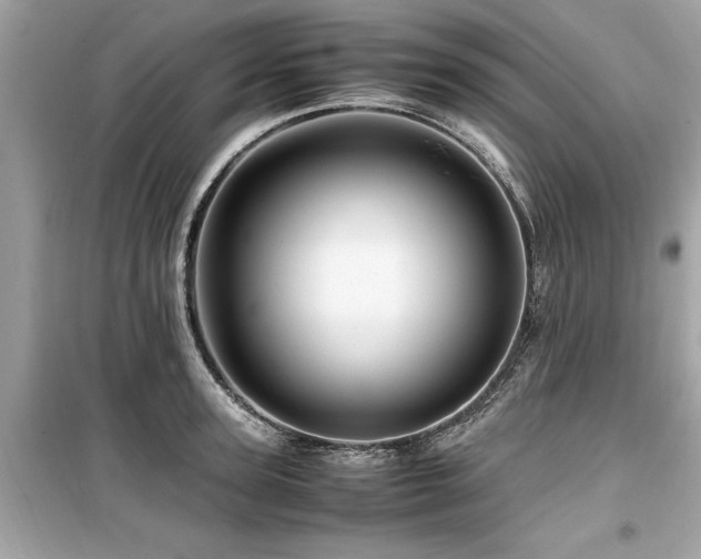 X0000099570947200805161513