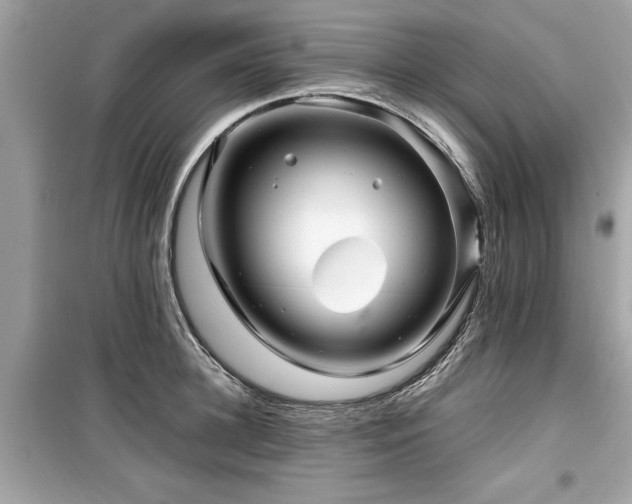 X0000099570948200805161513