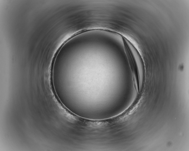 X0000099570949200805161513