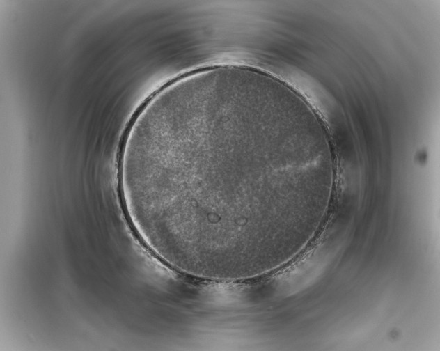 X0000099570950200805161513