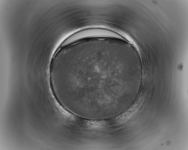 X0000099570951200805161513