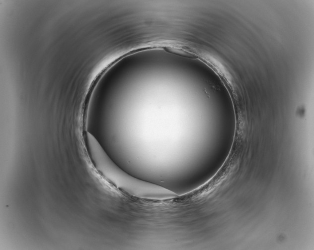 X0000099570952200805161513