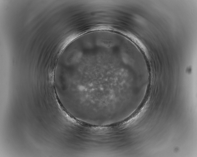 X0000099570953200805161513