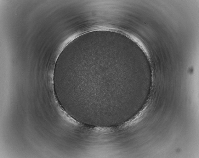 X0000099570954200805161514