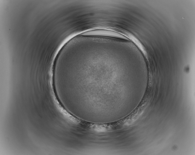 X0000099570955200805161514