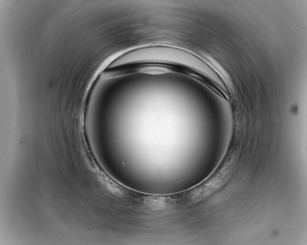 X0000099570956200805161514