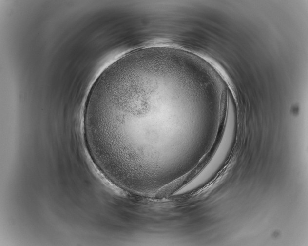 X0000099570957200805161514