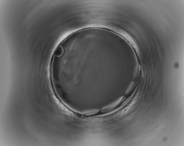 X0000099570958200805161514