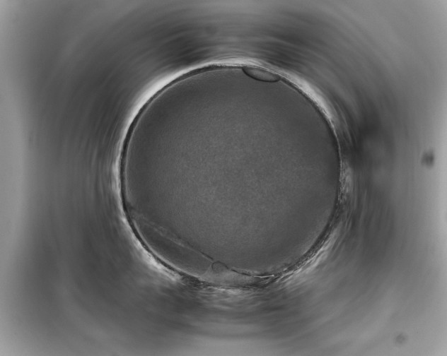 X0000099570959200805161514