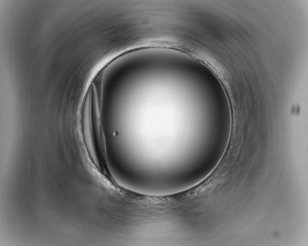 X0000099570960200805161514