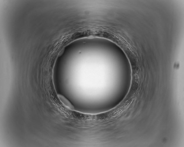 X0000099570961200805161513