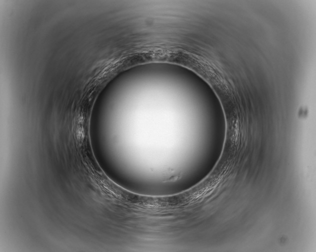 X0000099570962200805161513