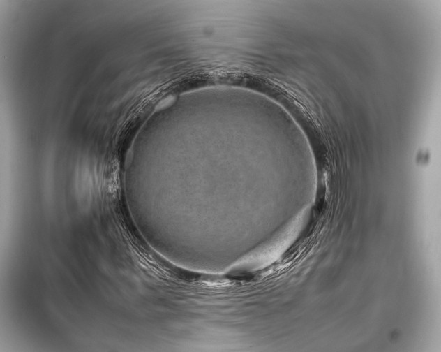 X0000099570963200805161513