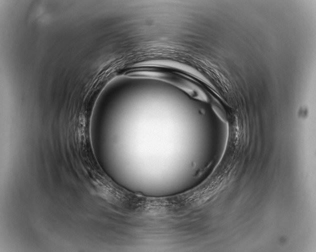 X0000099570964200805161513