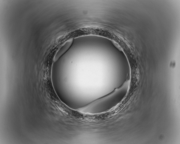 X0000099570965200805161513