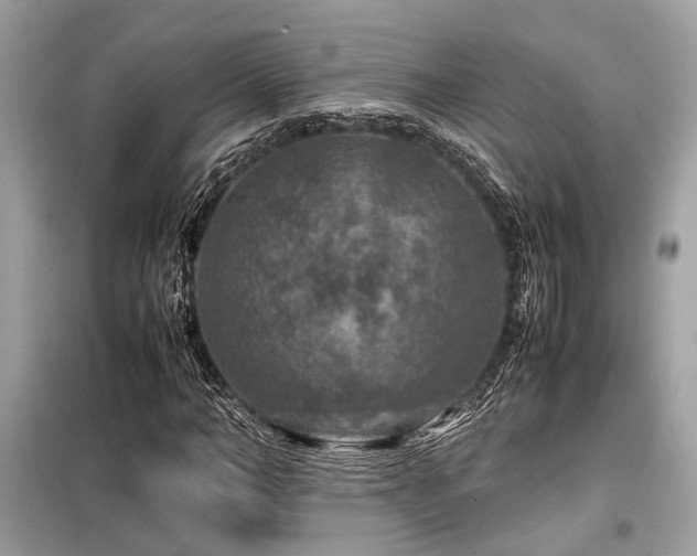 X0000099570966200805161513