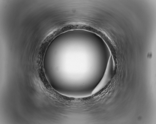 X0000099570967200805161513