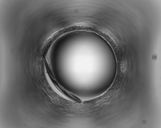 X0000099570968200805161513