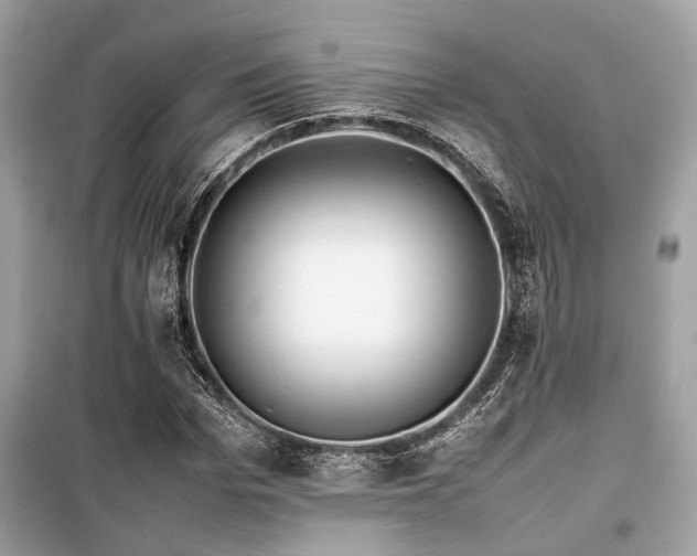 X0000099570969200805161513