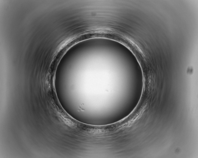 X0000099570970200805161513